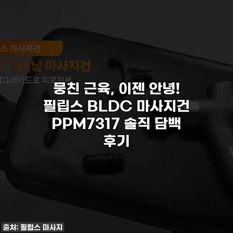 뭉친 근육, 이젠 안녕! 필립스 BLDC 마사지건 PPM7317 솔직 담백 후기