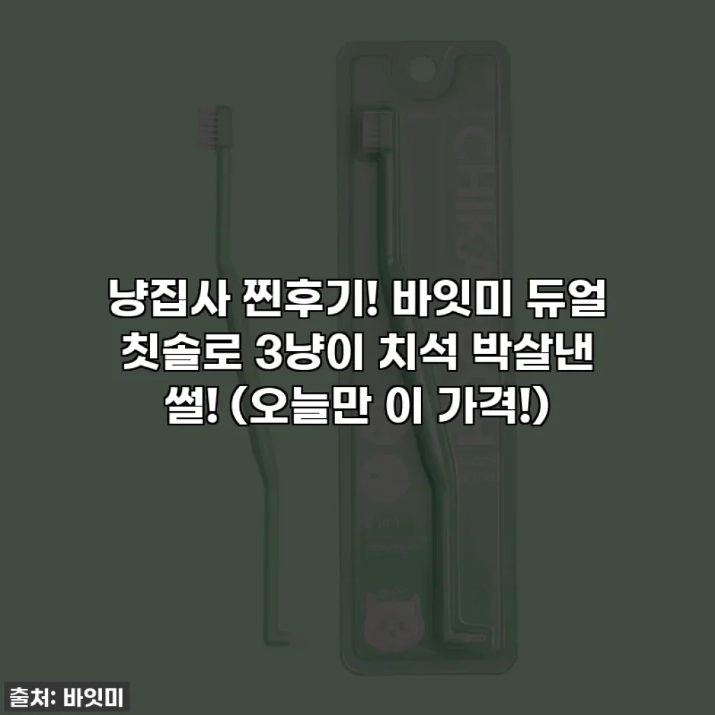 냥집사 찐후기! 바잇미 듀얼 칫솔로 3냥이 치석 박살낸 썰! (오늘만 이 가격!)