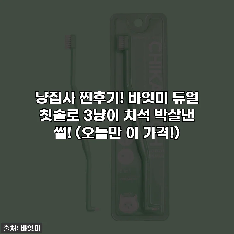냥집사 찐후기! 바잇미 듀얼 칫솔로 3냥이 치석 박살낸 썰! (오늘만 이 가격!)