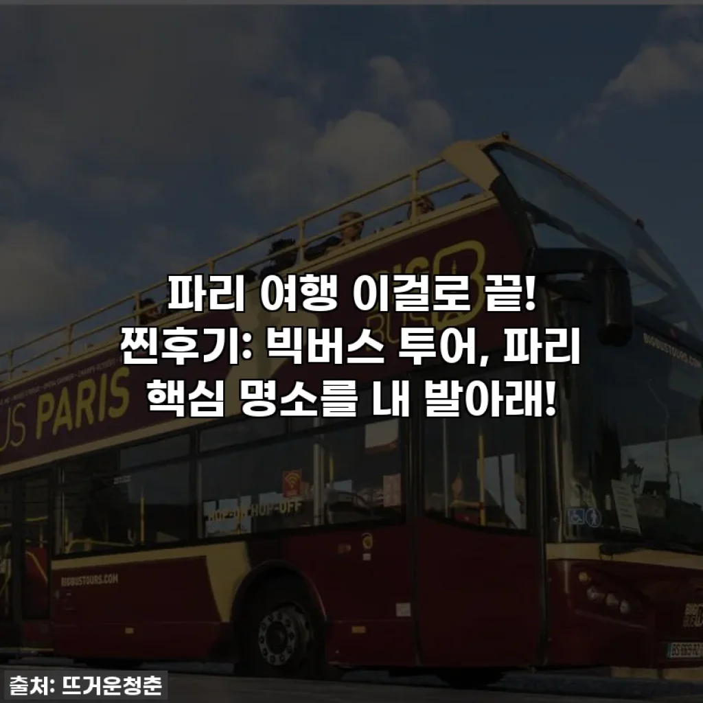 파리 여행 이걸로 끝! 찐후기: 빅버스 투어, 파리 핵심 명소를 내 발아래!