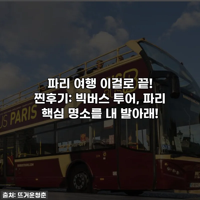 파리 여행 이걸로 끝! 찐후기: 빅버스 투어, 파리 핵심 명소를 내 발아래!