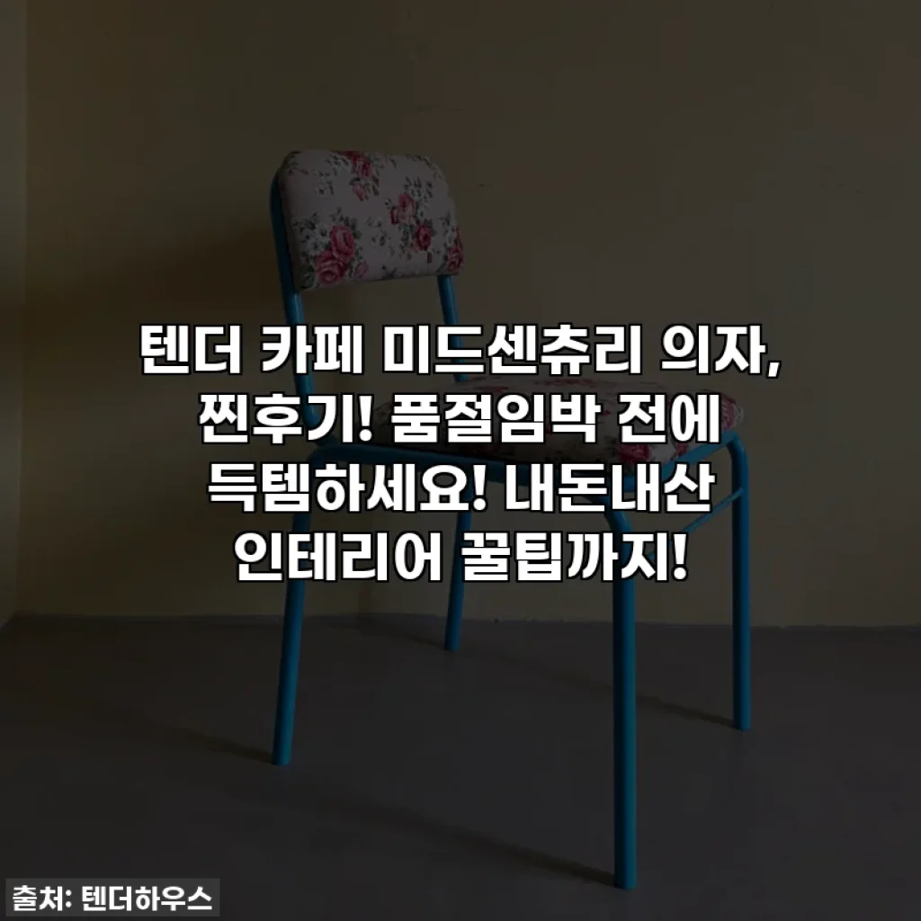 텐더 카페 미드센츄리 의자, 찐후기! 품절임박 전에 득템하세요! 내돈내산 인테리어 꿀팁까지!