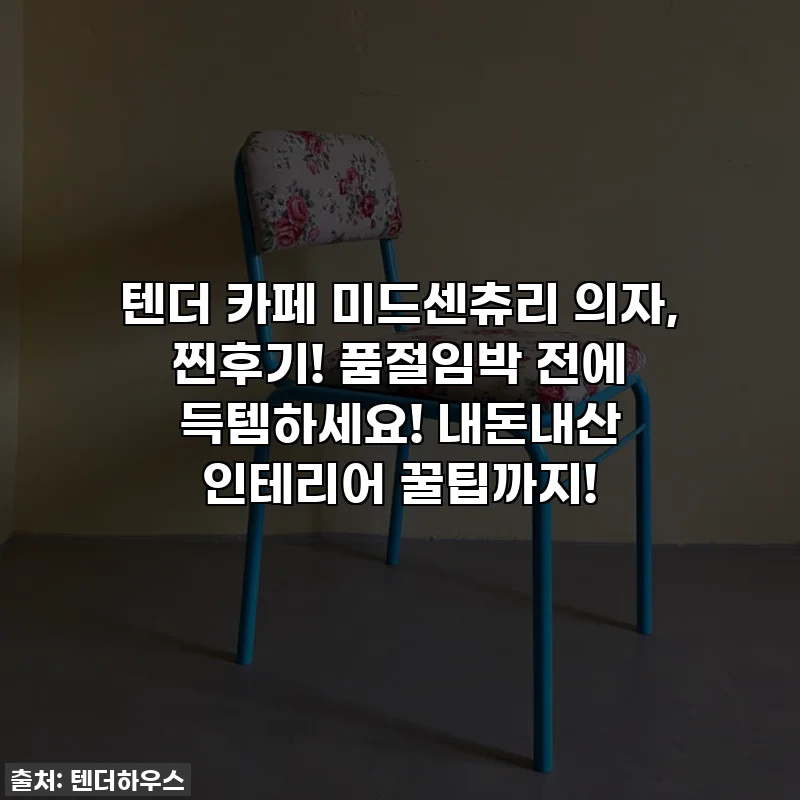 텐더 카페 미드센츄리 의자, 찐후기! 품절임박 전에 득템하세요! 내돈내산 인테리어 꿀팁까지!