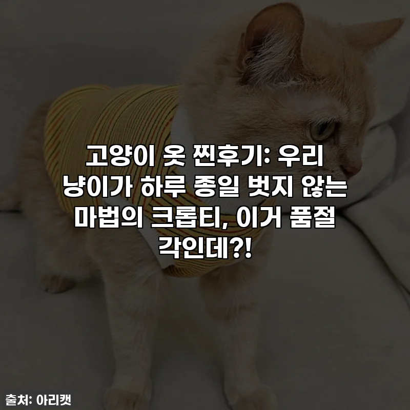 고양이 옷 찐후기: 우리 냥이가 하루 종일 벗지 않는 마법의 크롭티, 이거 품절 각인데?!