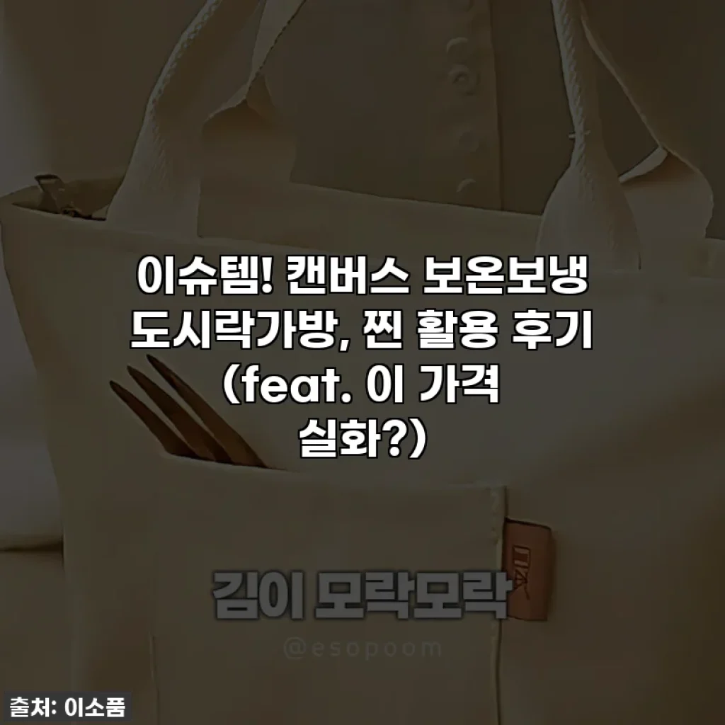 이슈템! 캔버스 보온보냉 도시락가방, 찐 활용 후기 (feat. 이 가격 실화?)