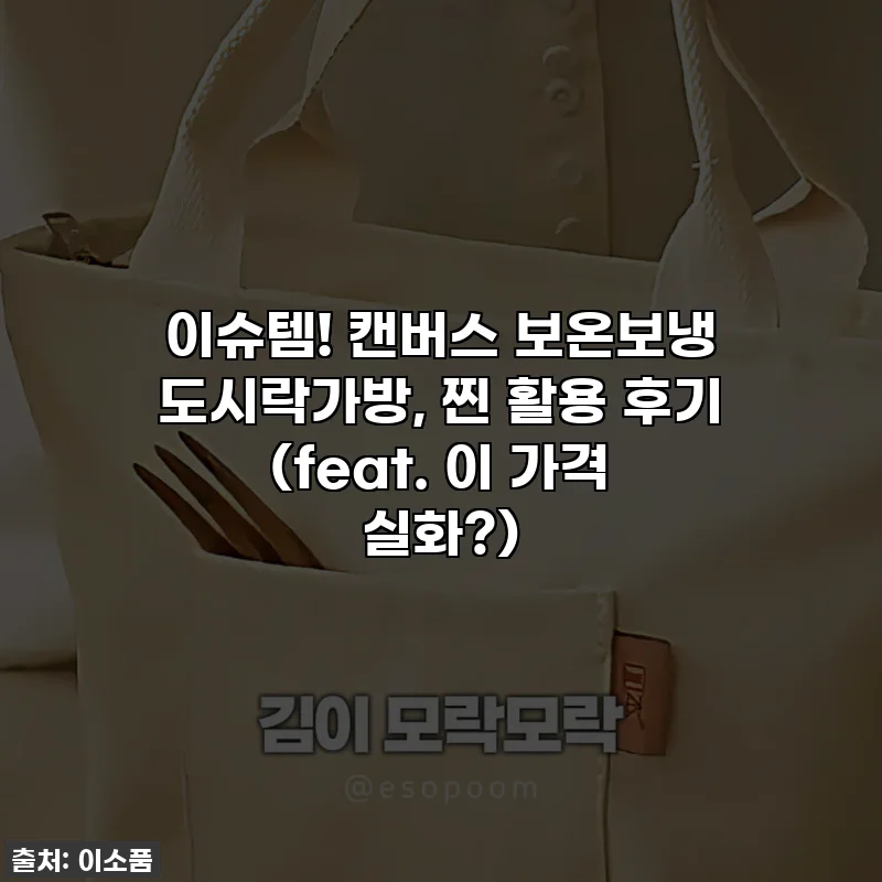 이슈템! 캔버스 보온보냉 도시락가방, 찐 활용 후기 (feat. 이 가격 실화?)