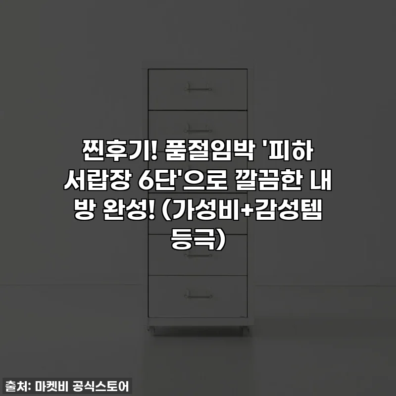 찐후기! 품절임박 '피하 서랍장 6단'으로 깔끔한 내 방 완성! (가성비+감성템 등극)