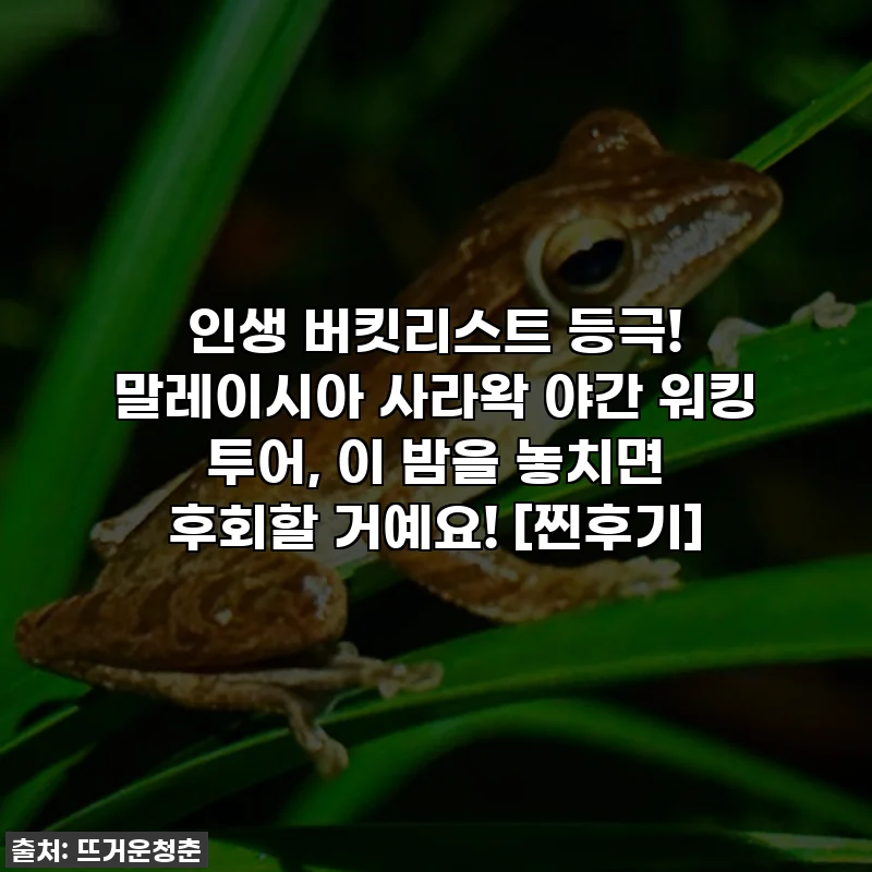 인생 버킷리스트 등극! 말레이시아 사라왁 야간 워킹 투어, 이 밤을 놓치면 후회할 거예요! [찐후기]