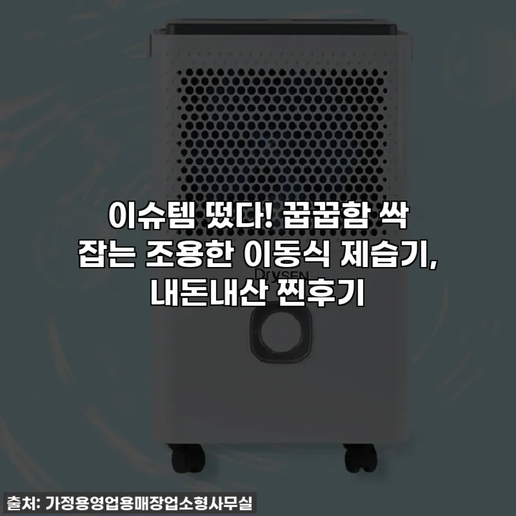 이슈템 떴다! 꿉꿉함 싹 잡는 조용한 이동식 제습기, 내돈내산 찐후기