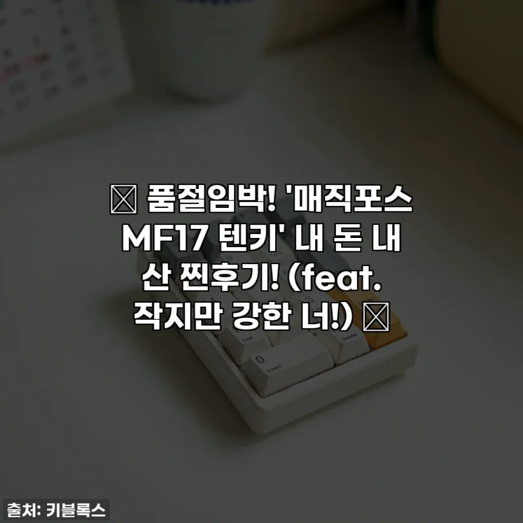 ✨ 품절임박! '매직포스 MF17 텐키' 내 돈 내 산 찐후기! (feat. 작지만 강한 너!) ✨