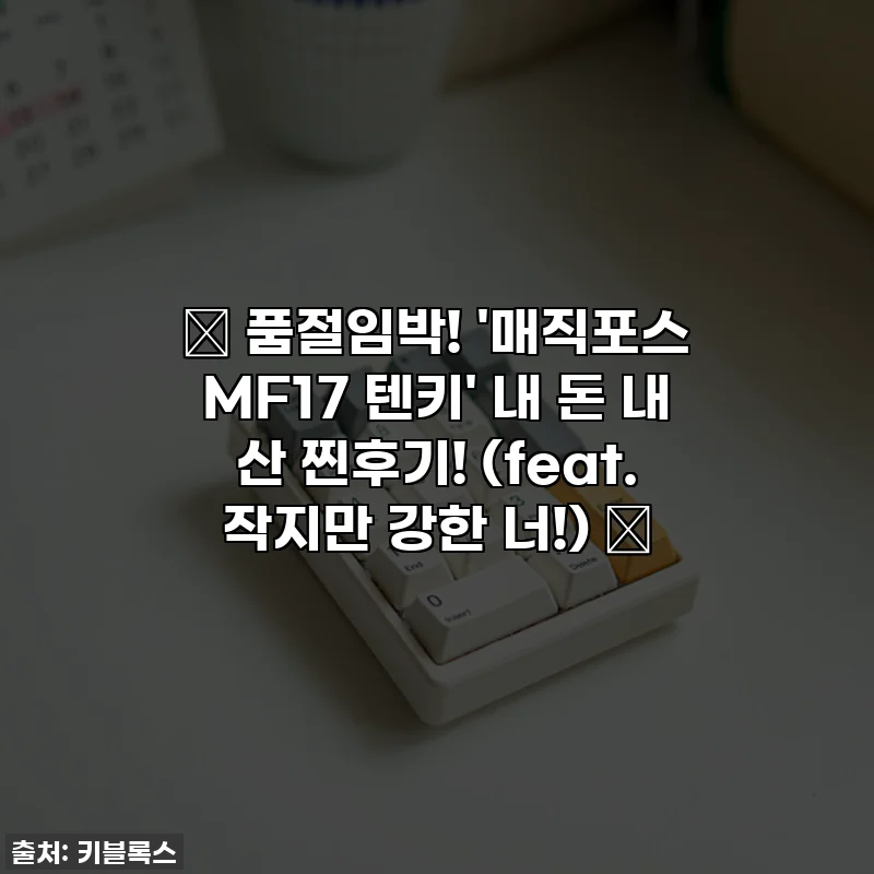 ✨ 품절임박! '매직포스 MF17 텐키' 내 돈 내 산 찐후기! (feat. 작지만 강한 너!) ✨
