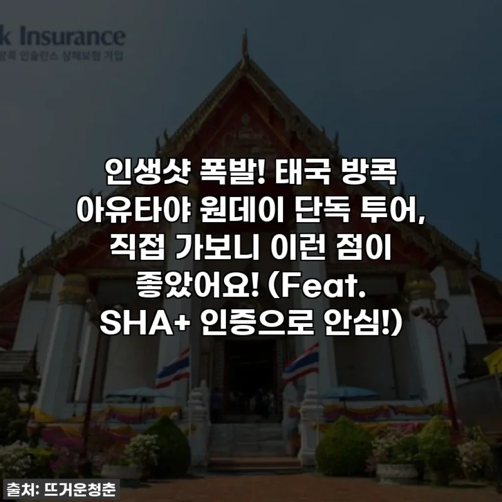 인생샷 폭발! 태국 방콕 아유타야 원데이 단독 투어, 직접 가보니 이런 점이 좋았어요! (Feat. SHA+ 인증으로 안심!)