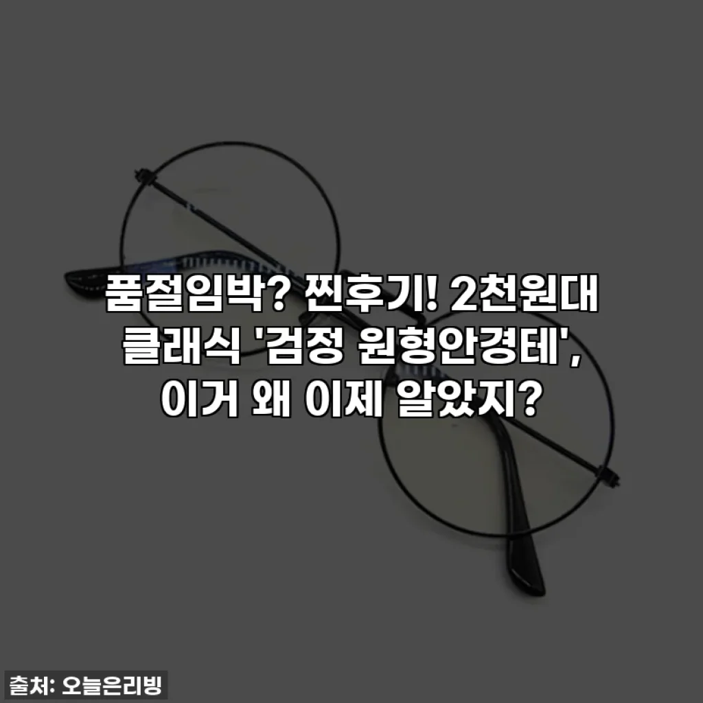 품절임박? 찐후기! 2천원대 클래식 '검정 원형안경테', 이거 왜 이제 알았지?