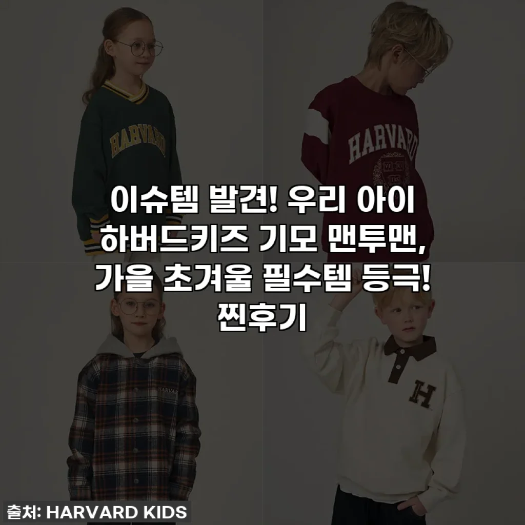 이슈템 발견! 우리 아이 하버드키즈 기모 맨투맨, 가을 초겨울 필수템 등극! 찐후기
