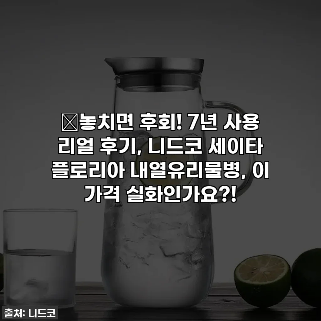 🚨놓치면 후회! 7년 사용 리얼 후기, 니드코 세이타 플로리아 내열유리물병, 이 가격 실화인가요?!