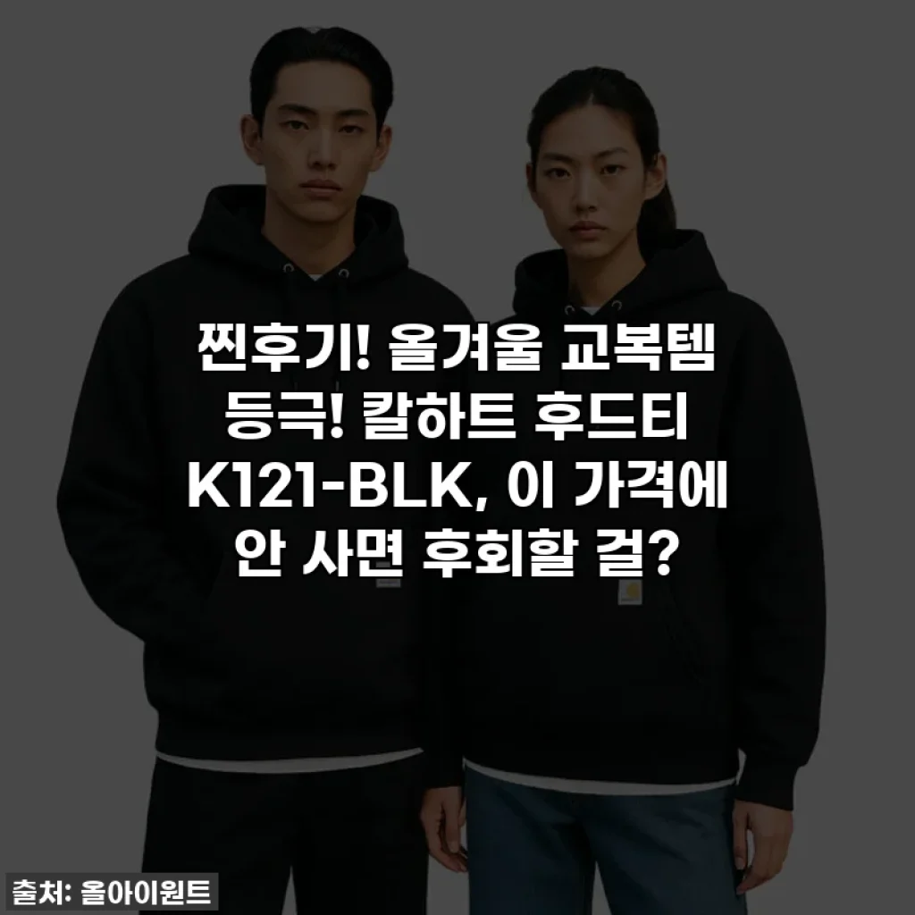 찐후기! 올겨울 교복템 등극! 칼하트 후드티 K121-BLK, 이 가격에 안 사면 후회할 걸?