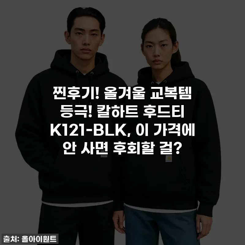 찐후기! 올겨울 교복템 등극! 칼하트 후드티 K121-BLK, 이 가격에 안 사면 후회할 걸?
