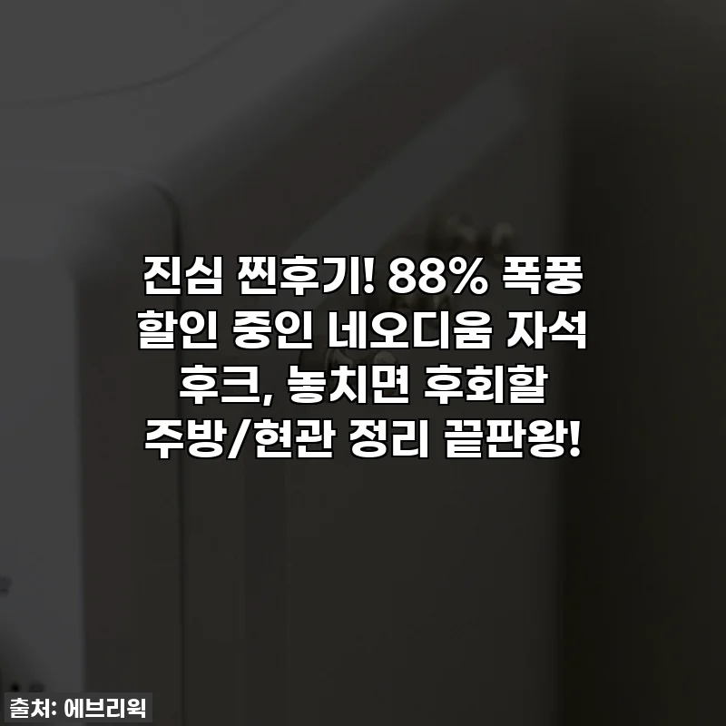 진심 찐후기! 88% 폭풍 할인 중인 네오디움 자석 후크, 놓치면 후회할 주방/현관 정리 끝판왕!