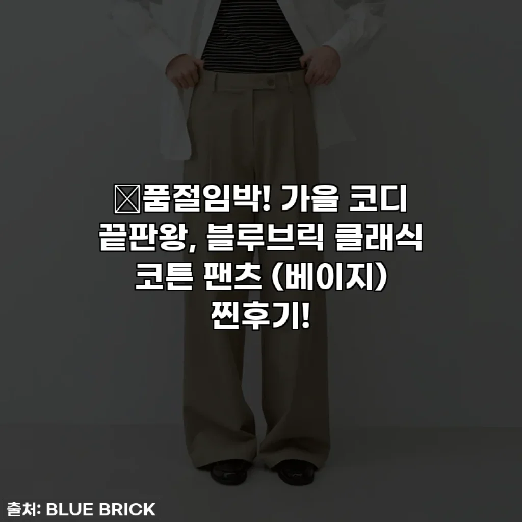 🎁품절임박! 가을 코디 끝판왕, 블루브릭 클래식 코튼 팬츠 (베이지) 찐후기!