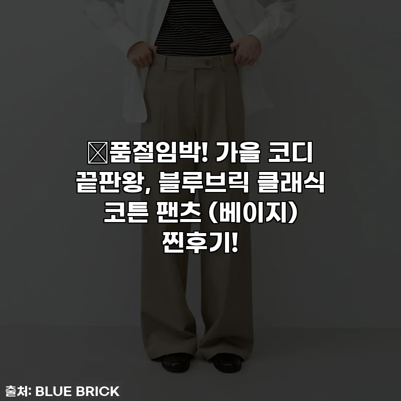 🎁품절임박! 가을 코디 끝판왕, 블루브릭 클래식 코튼 팬츠 (베이지) 찐후기!