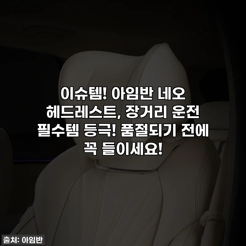 이슈템! 아임반 네오 헤드레스트, 장거리 운전 필수템 등극! 품절되기 전에 꼭 들이세요!