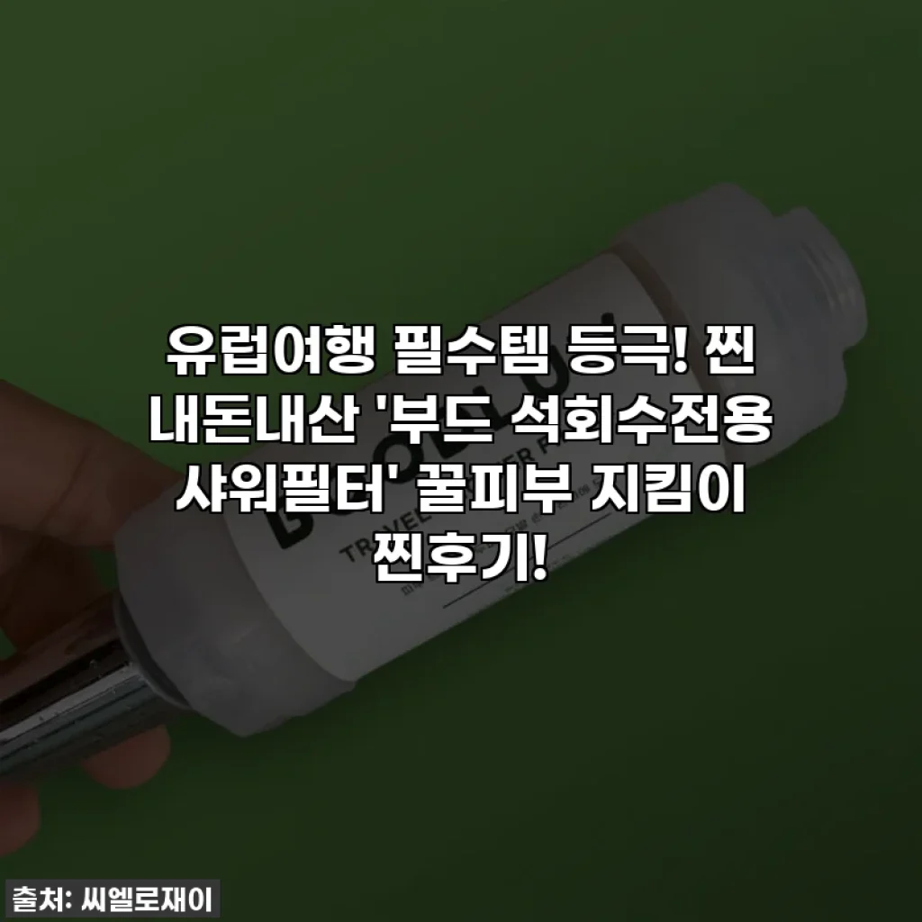 유럽여행 필수템 등극! 찐 내돈내산 '부드 석회수전용 샤워필터' 꿀피부 지킴이 찐후기!