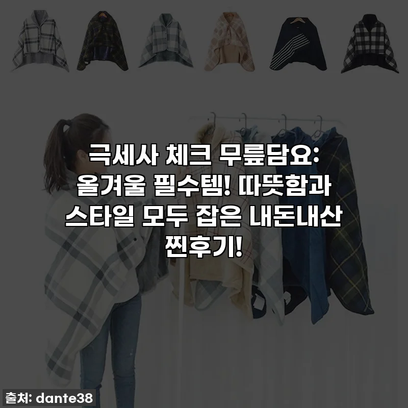 극세사 체크 무릎담요: 올겨울 필수템! 따뜻함과 스타일 모두 잡은 내돈내산 찐후기!