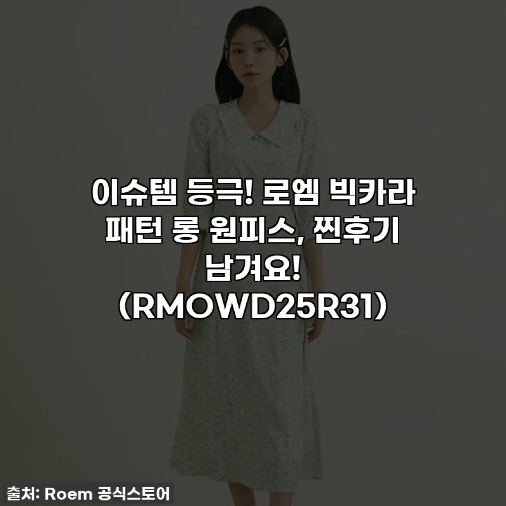 이슈템 등극! 로엠 빅카라 패턴 롱 원피스, 찐후기 남겨요! (RMOWD25R31)
