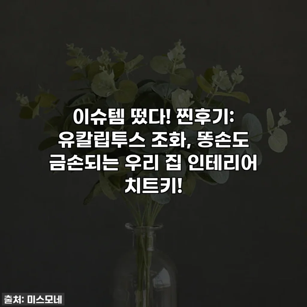 이슈템 떴다! 찐후기: 유칼립투스 조화, 똥손도 금손되는 우리 집 인테리어 치트키!