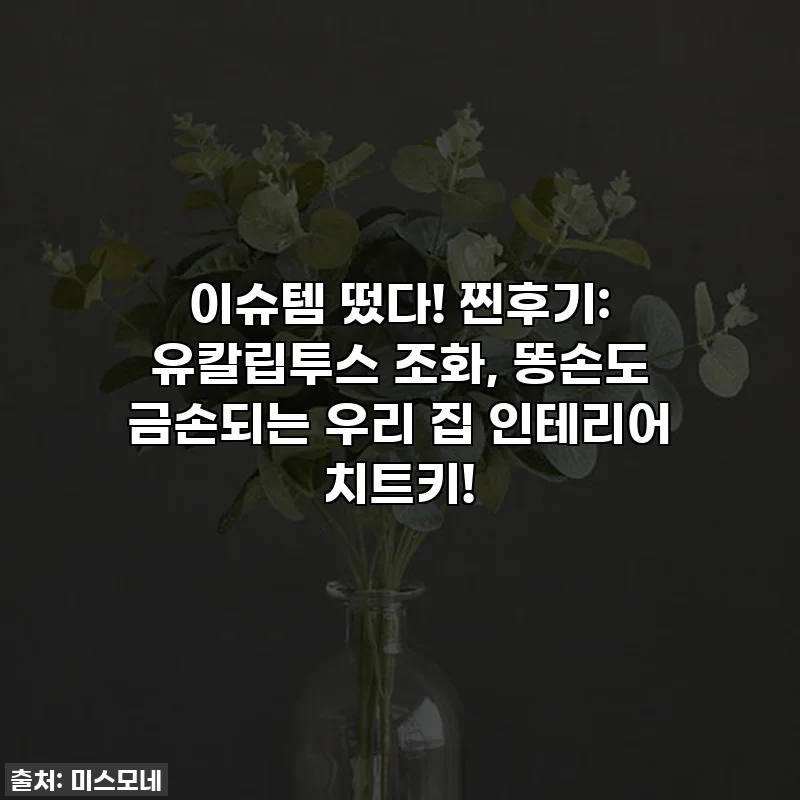 이슈템 떴다! 찐후기: 유칼립투스 조화, 똥손도 금손되는 우리 집 인테리어 치트키!