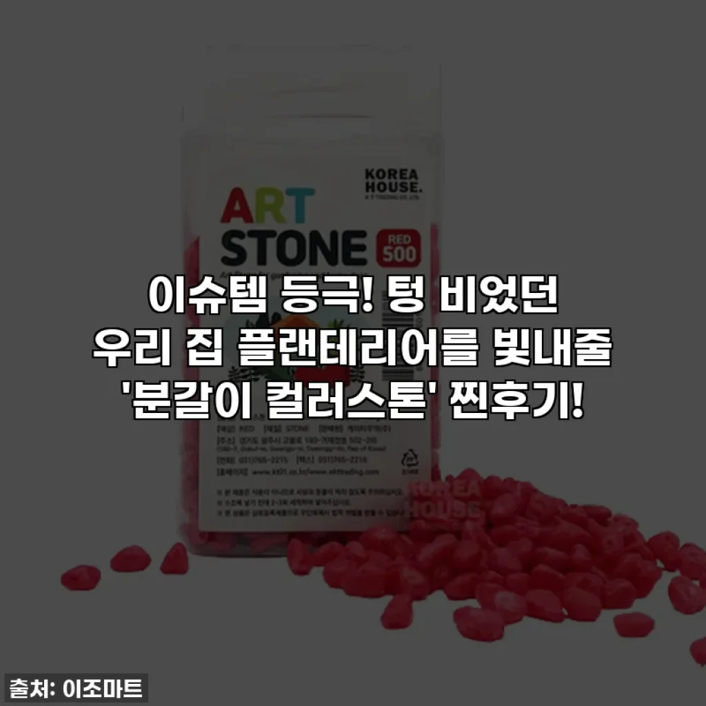 이슈템 등극! 텅 비었던 우리 집 플랜테리어를 빛내줄 '분갈이 컬러스톤' 찐후기!