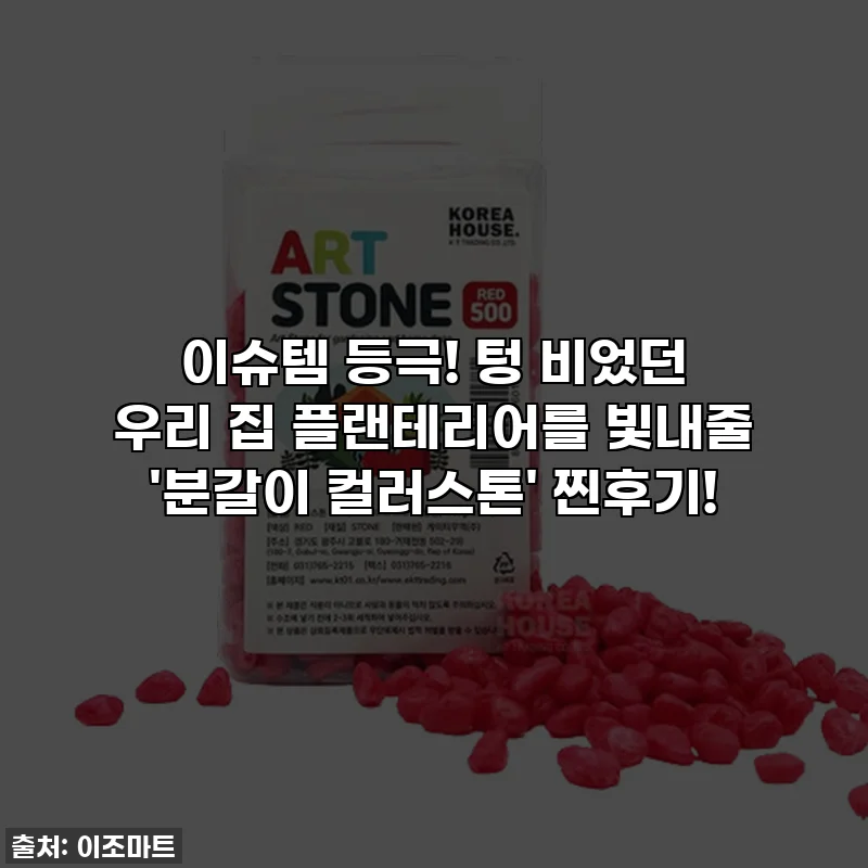 이슈템 등극! 텅 비었던 우리 집 플랜테리어를 빛내줄 '분갈이 컬러스톤' 찐후기!