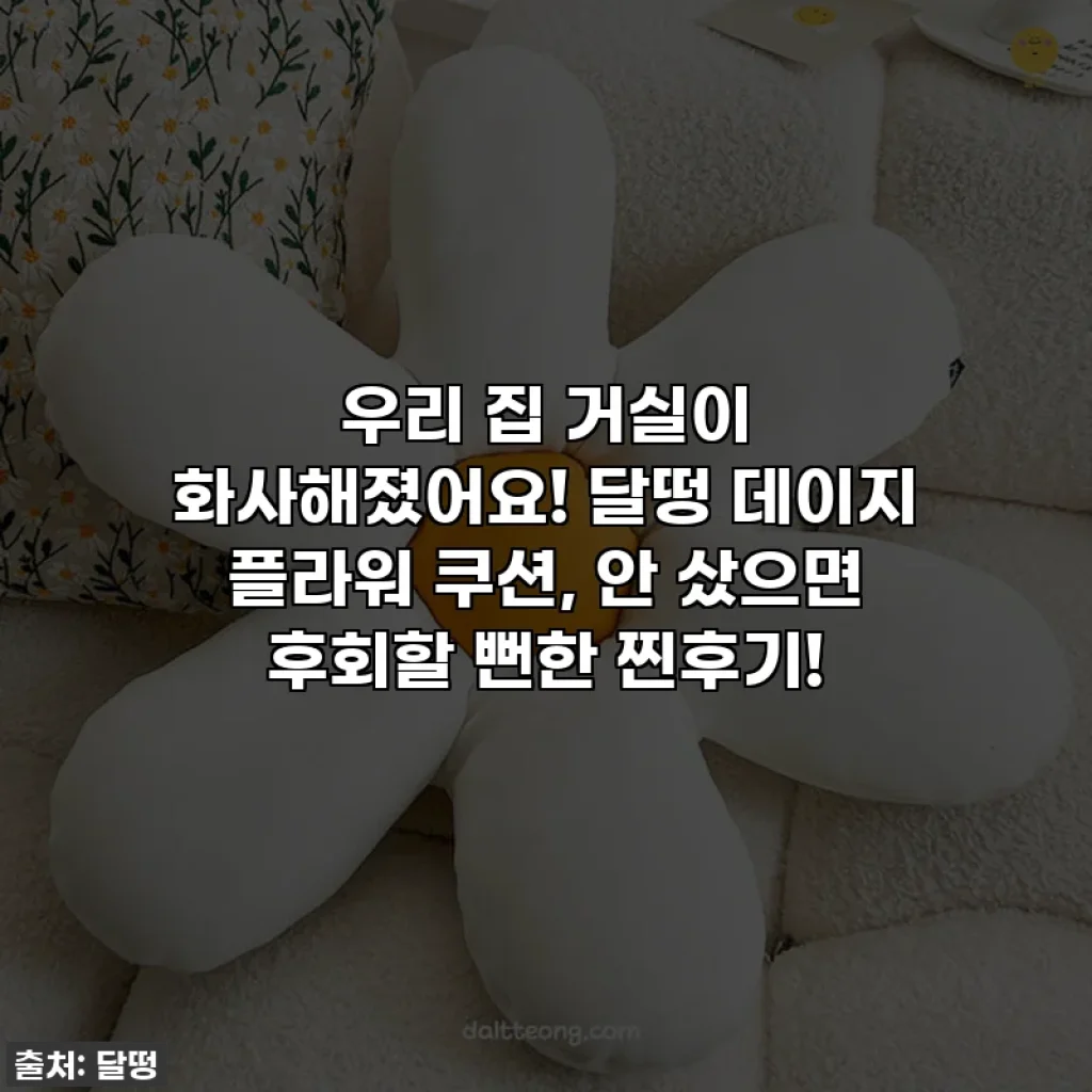 우리 집 거실이 화사해졌어요! 달떵 데이지 플라워 쿠션, 안 샀으면 후회할 뻔한 찐후기!