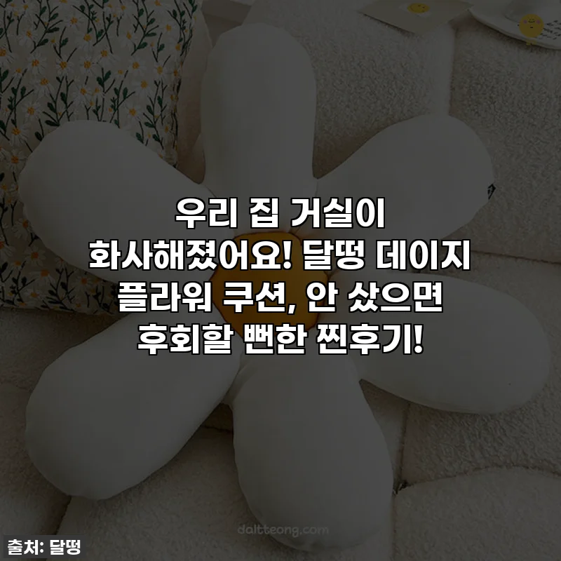 우리 집 거실이 화사해졌어요! 달떵 데이지 플라워 쿠션, 안 샀으면 후회할 뻔한 찐후기!