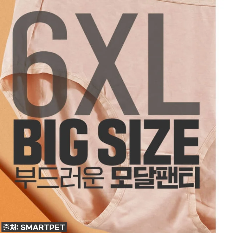 이거 진짜 인생템 등극! 여성 대형 관련 이미지 1