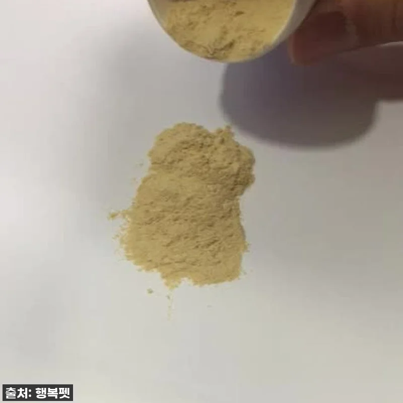 우리집 댕댕이 발톱 피바다 될 뻔한 관련 이미지 1