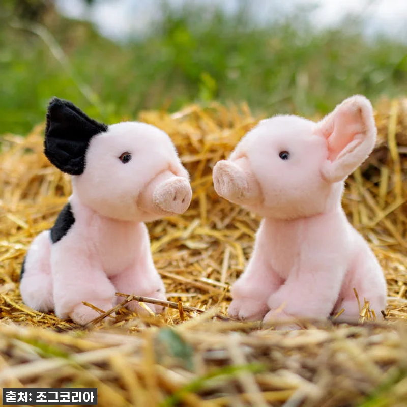 애너미고스 월드 오브 네이처 아기 돼 관련 이미지 1