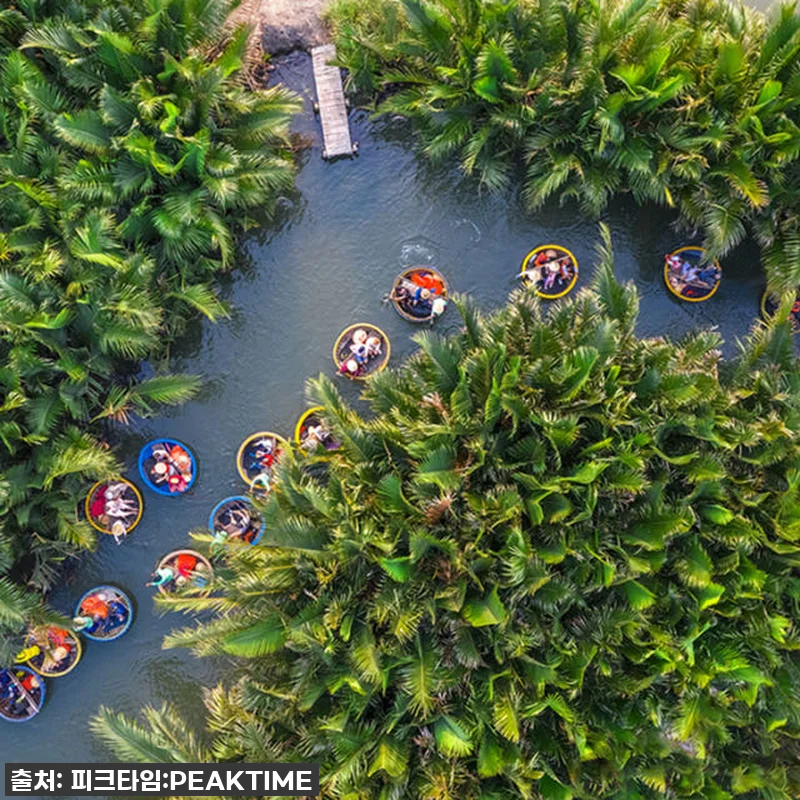 찐후기! 다낭 호이안 투어, 이 가격 관련 이미지 1