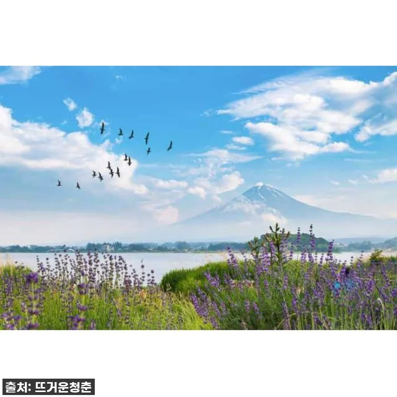 찐후기: 도쿄에서 후지산까지? 이렇게 관련 이미지 1