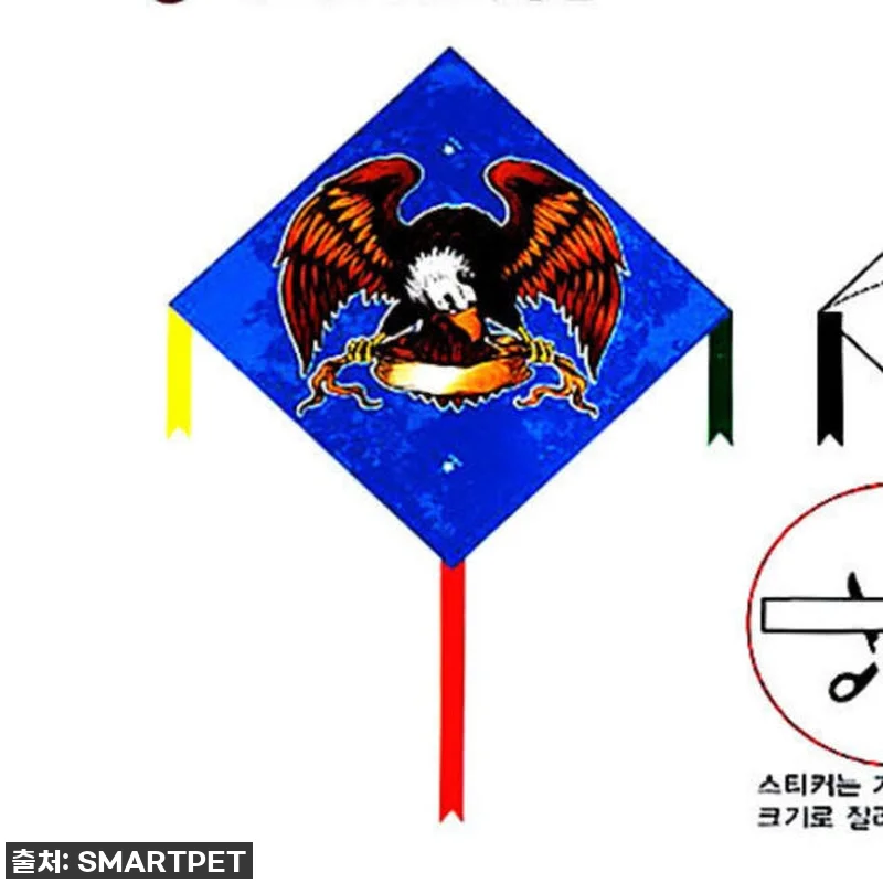 날려라, 내 마음까지! 🚀 방패연 가 관련 이미지 2