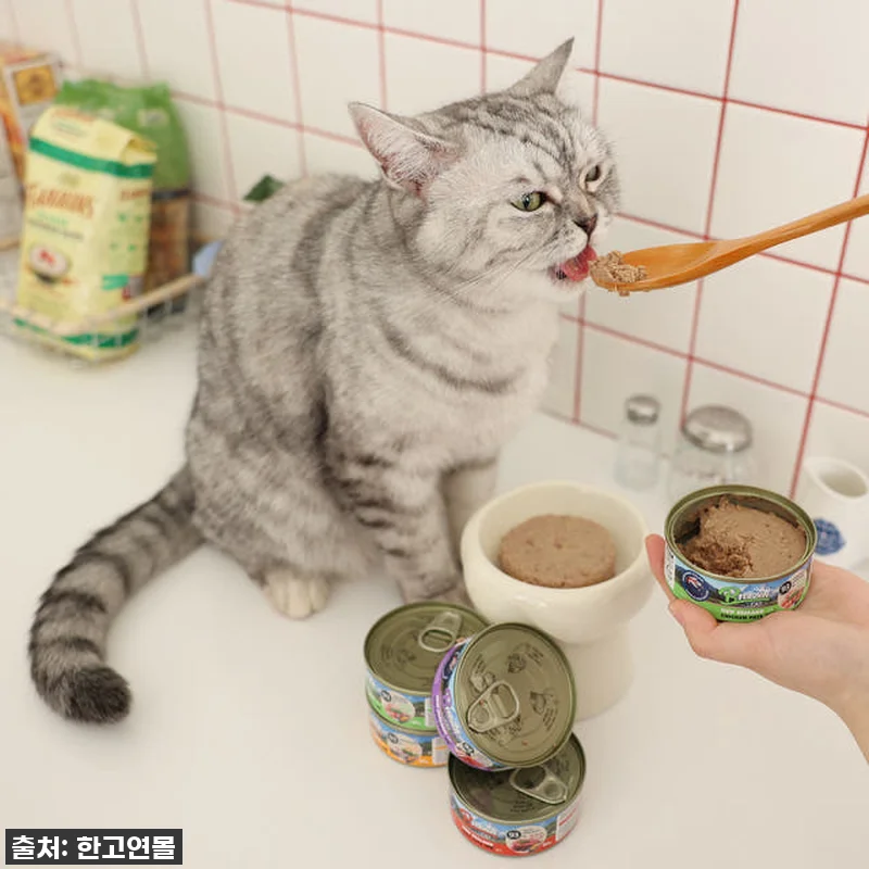 브리젠 뉴질랜드산 전연령 고양이 주식 관련 이미지 2