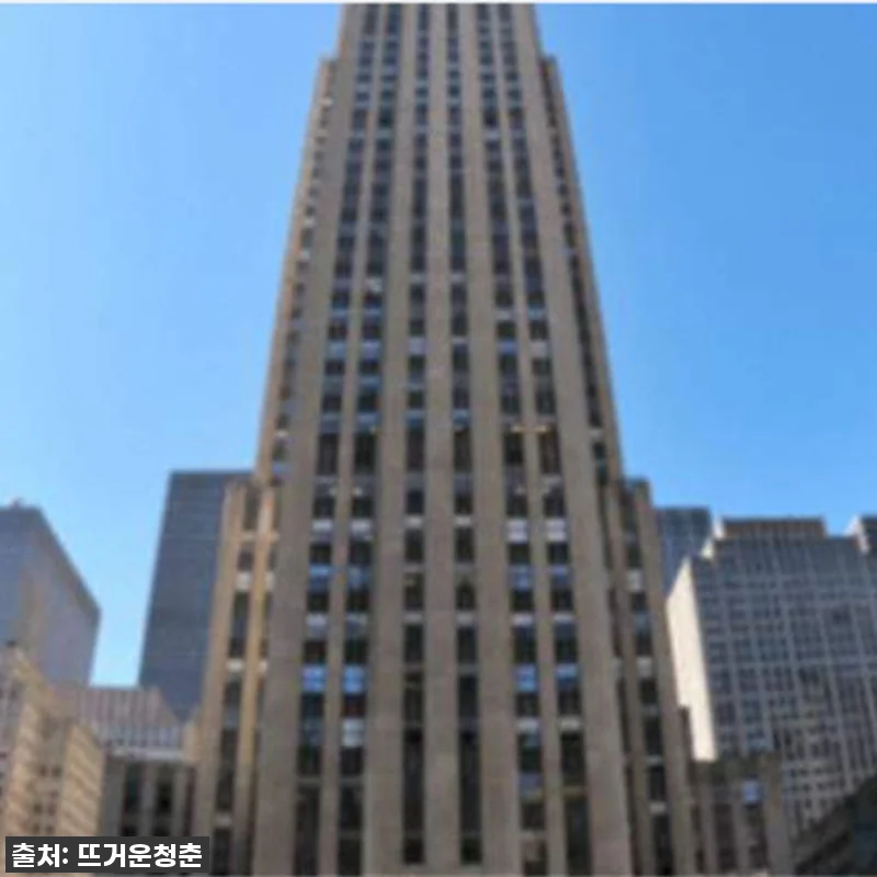 인생샷 보장! 뉴욕 야경 버스 가이드 관련 이미지 2