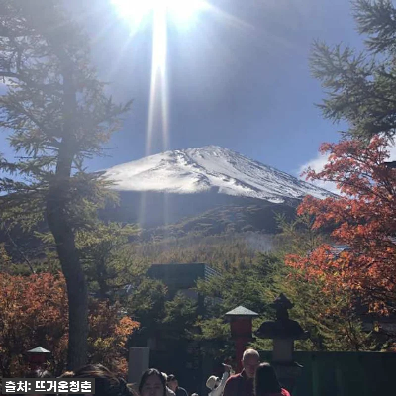 인생샷 건지는 후지산 1일 투어, 이 관련 이미지 2