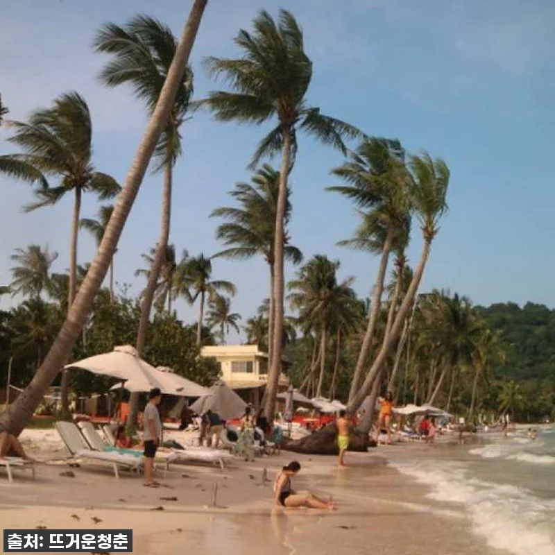 푸꾸옥 여행 필수코스! 찐후기, 품절 관련 이미지 2