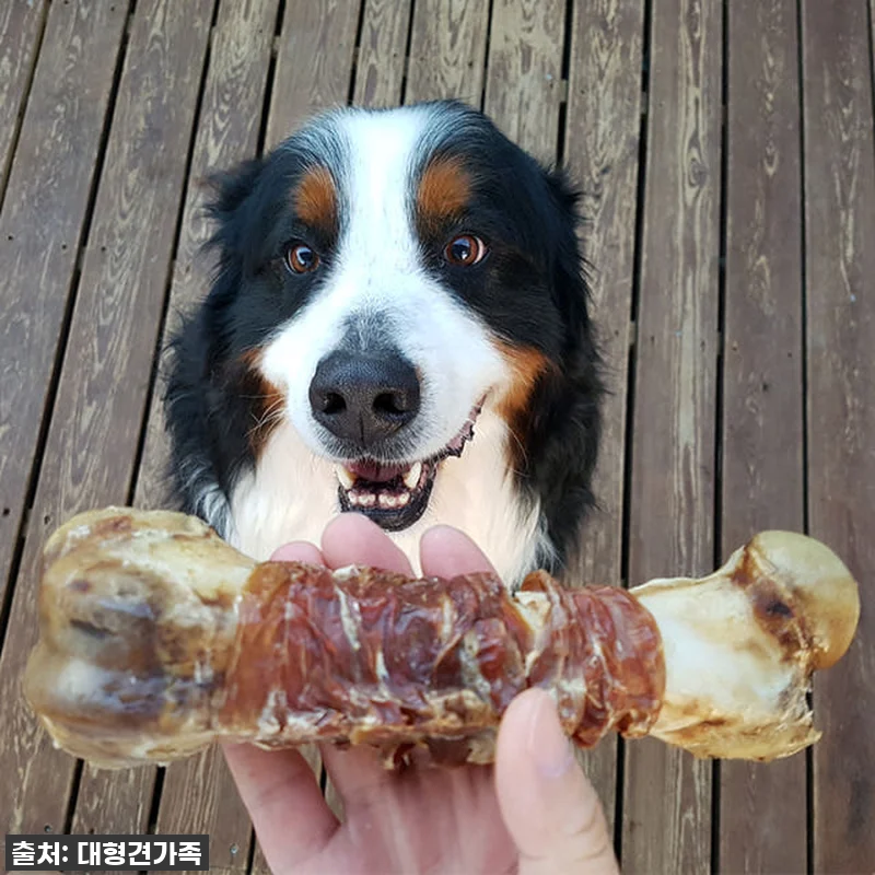대형견간식 소뼈 강아지뼈간식 강아지 관련 이미지 3