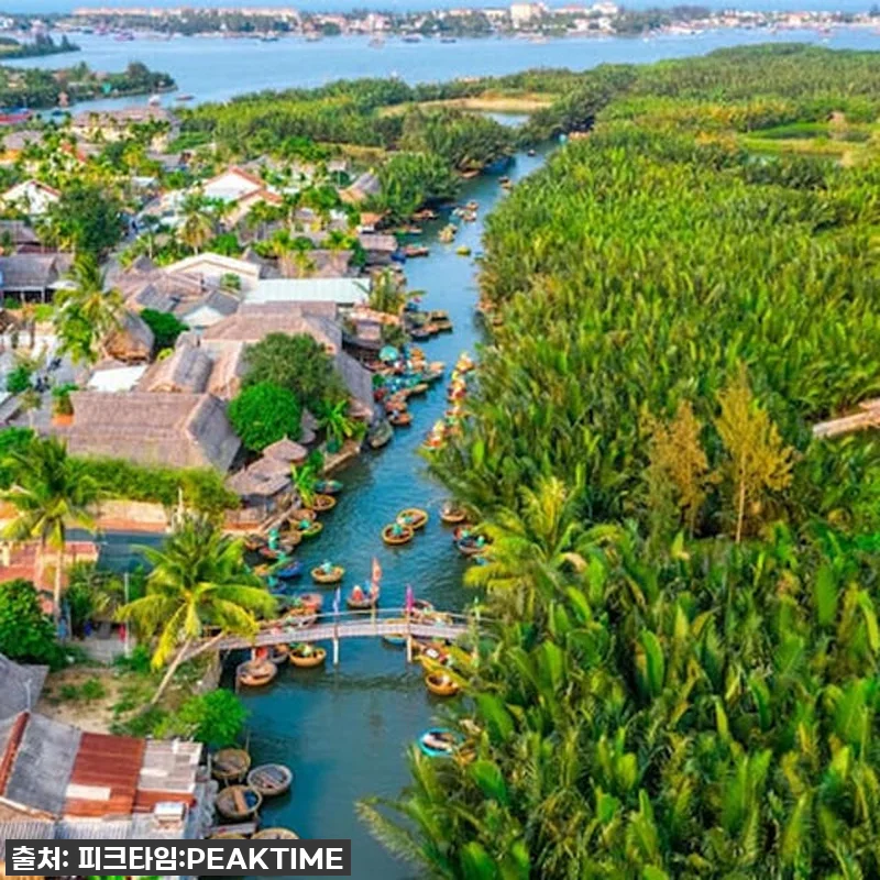 찐후기! 다낭 호이안 투어, 이 가격 관련 이미지 3
