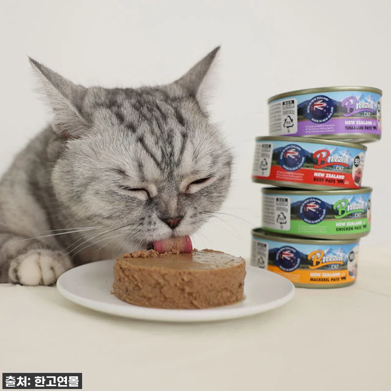 브리젠 뉴질랜드산 전연령 고양이 주식 관련 이미지 4
