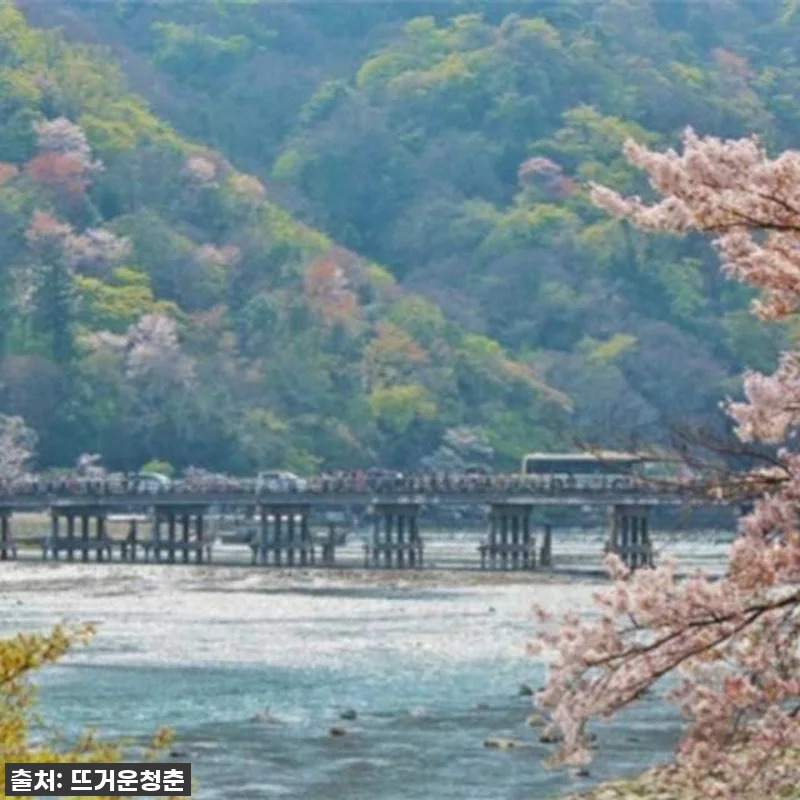 진정한 교토를 만나다! 아라시야마 1 관련 이미지 4