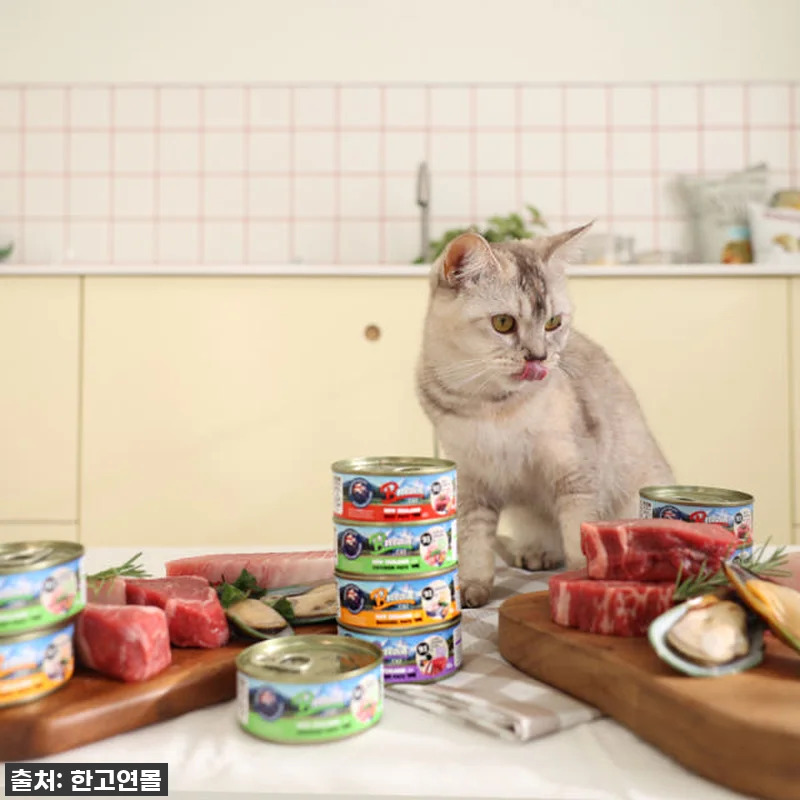 브리젠 뉴질랜드산 전연령 고양이 주식 관련 이미지 5