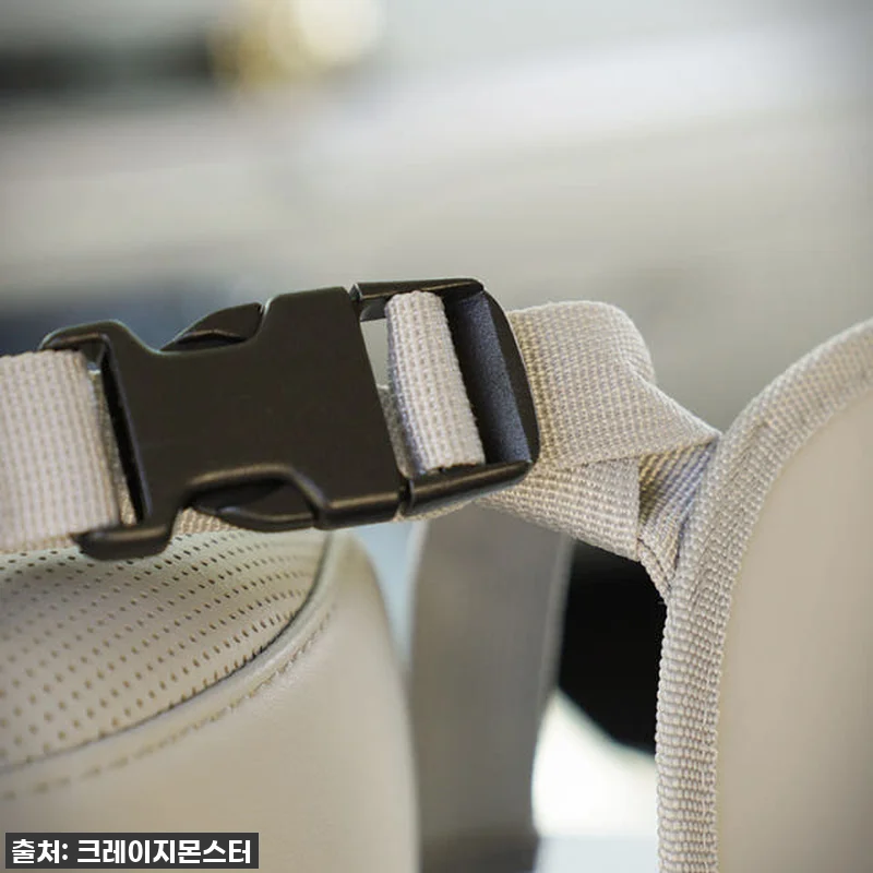 🚗💨 차박러들 주목! 크레이지몬스터 관련 이미지 6